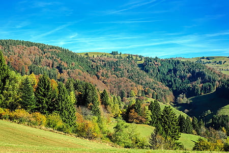 green tree covered hills under blue sky thumbnail