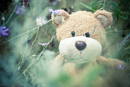 Brown Teddy Bear thumbnail