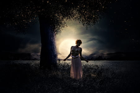 standing woman under the tree at nighttime wallpaper thumbnail