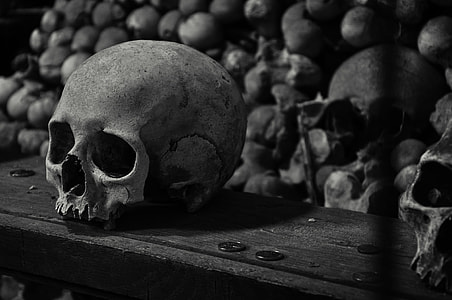 grayscale photography of skulls thumbnail