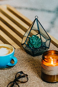 green succulent plant beside blue ceramic teacup thumbnail
