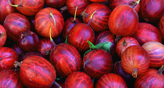 photo of red watermelons thumbnail
