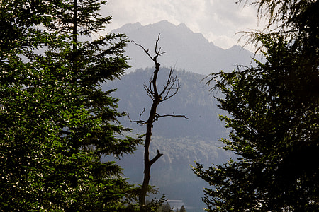 Bavarian Alps thumbnail