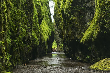 pathway between boulders thumbnail