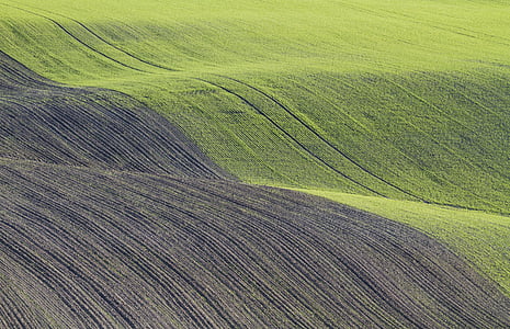 green and gray fields thumbnail