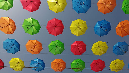 assorted umbrella thumbnail