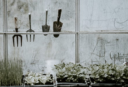 four assorted gardening tools above gardening plants thumbnail