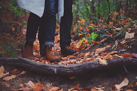 person wearing brown leather boots near trees thumbnail