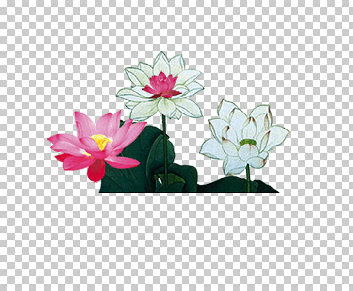 Nelumbo Nucifera Mooncake Mid Autumn Festival Watercolor Painting Classical Chinese Style Lotus Png Clipart Free Cliparts Uihere