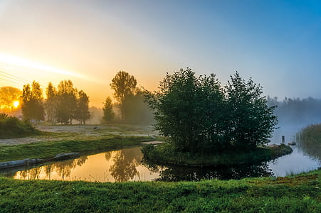 body of water surrounded by trees thumbnail