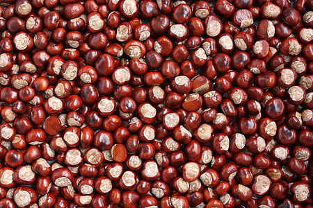 red nut lot thumbnail