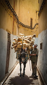 man with horse carrying wool thumbnail