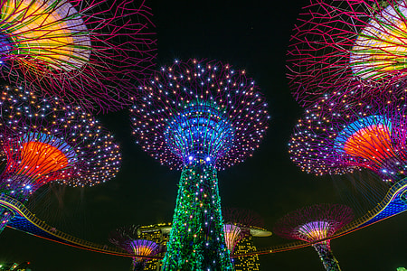 Singapore Super Trees thumbnail