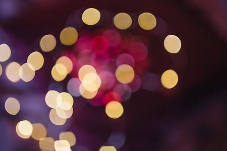 Burgundy Christmas Decorations thumbnail