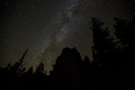 landscape photography of trees and sky thumbnail