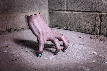 right hand photo thumbnail