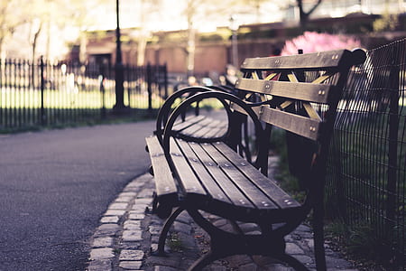 selective focus photography of two benches beside park thumbnail