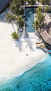 sectional pool with palm tree beside blue ocean water during daytime thumbnail