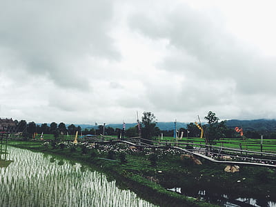 landscape, nature, sky, water thumbnail