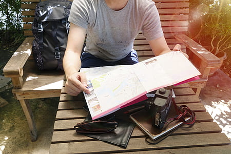 wood, bench, sunny, man thumbnail