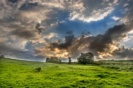 green field thumbnail