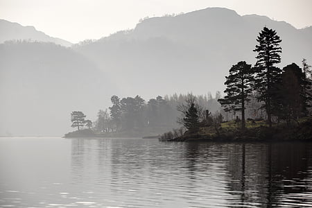 foggy trees and lake thumbnail