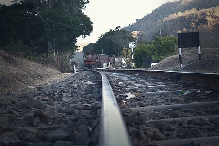 Railroad Tracks Amidst Trees Against Sky thumbnail