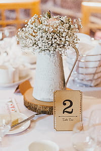 selective focus photography of baby's breath flowers on vase thumbnail