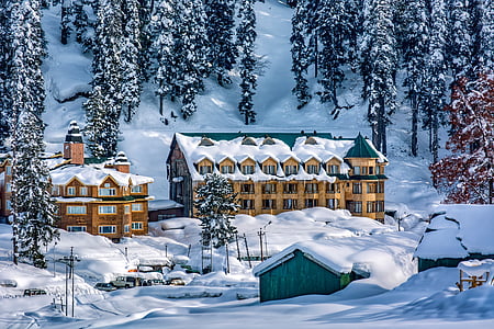 snow-covered building near trees thumbnail