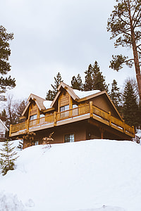 brown residential house surrounded by green leafed trees thumbnail