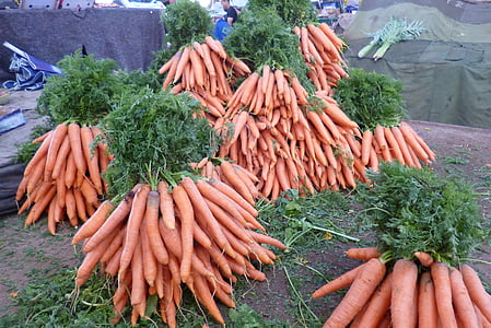 pile of orange carrots thumbnail