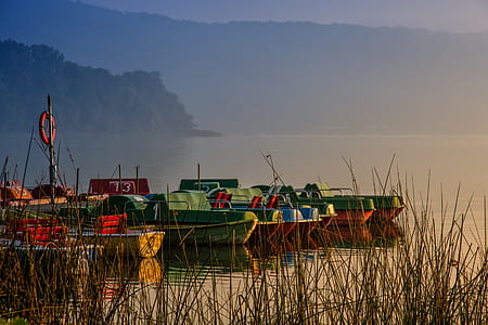 green and blue bass boats docks in body of water thumbnail