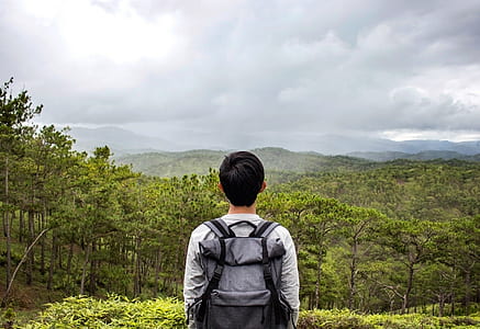 person standing near green tall trees under gray sky during daytime thumbnail