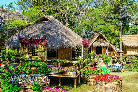 Photo of Huts Surrounded by Flowers thumbnail