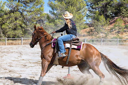 time lapse photography of cowboy riding horse on field thumbnail