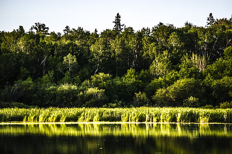 green grass and body of water thumbnail