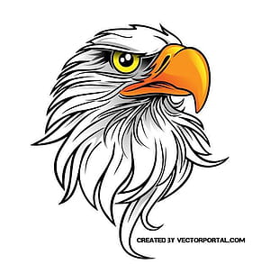 eagle vector clip art eps, ai file
