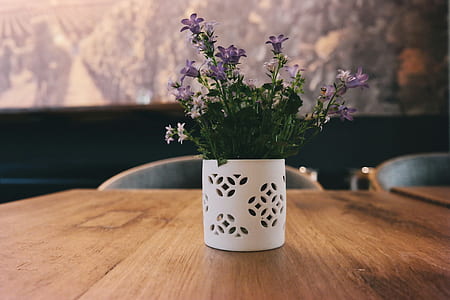 landscape photography of purple clustered flowers in white pot on brown table thumbnail