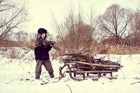 boy pilling firewood on brown wooden snow sked thumbnail
