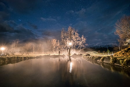 tree with light beside body of water thumbnail