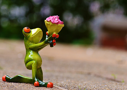 green frog holding pink bouquet of flowers thumbnail