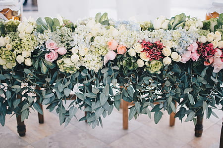 closeup photo of white and pink flower decor thumbnail