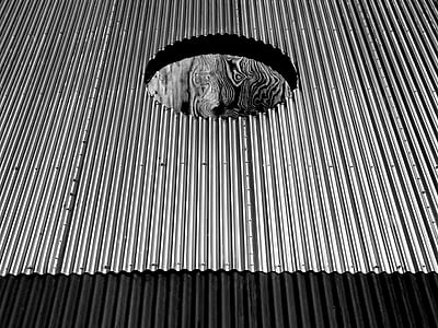 roof, corrugated, hole, round thumbnail