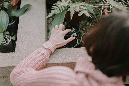 person planting plant on garden during daytime thumbnail