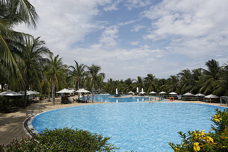 white patio umbrella surrounding swimming pool during daytime thumbnail
