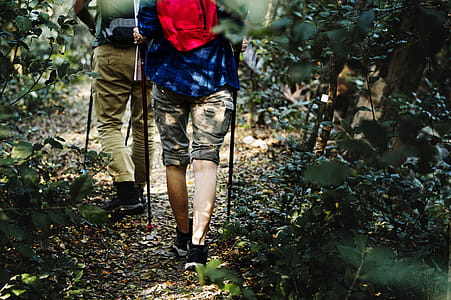 Two Person Walking on Pathway Between Plants thumbnail