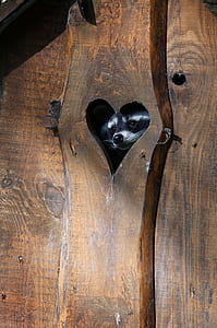 brown wood slab with heart cutout thumbnail