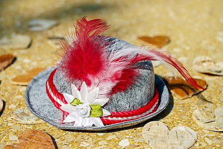 gray and red feather themed hat thumbnail