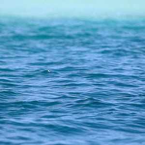 body of water closed up photography thumbnail