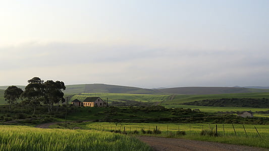 house on rice fields thumbnail